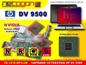 DV 9500 - NETAGON electronics Gdynia