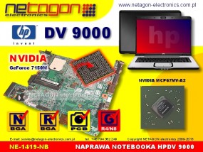 DV 9000 - NETAGON electronics Gdynia