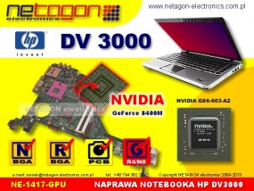 DV 3000 - NETAGON electronics Gdynia