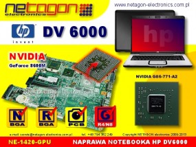 DV 6000 - NETAGON electronics Gdynia