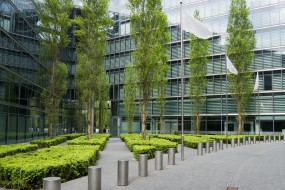 Projektowanie terenów zielonych - Wytwórnia Tlenu - projektowanie, zakładanie, pielęgnacja ogrodów i zieleni Wrocław