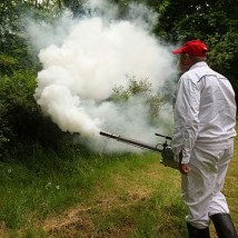 Odkomarzanie posesji, ogrodów, parków, zwalczanie komarów - oprysk Bydgoszcz - DEZINO - ochrona przed szkodnikami