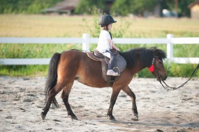 Nauka jazdy konnej - Stadnina koni Wiślany Zakątek Wola Zabierzowska