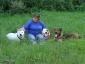 Dzienny pobyt psa szkolenia  zwierząt - Olsztyn Szkolenie psów