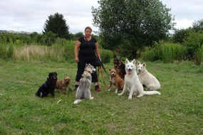 Hotel dla psów - Szkolenie psów Olsztyn