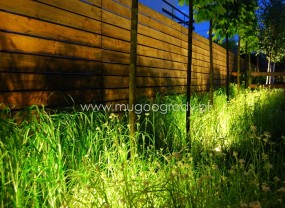 Projektowanie ogrodów - MUGO OGRODY - Krzysztof Krawczyk Projektowanie i zakładanie ogrodów Katowice