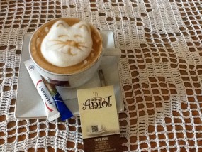Anielskie kawy i herbaty z duchem - Caffe Anioł - anielskie kawy herbaty z duchem Gdynia