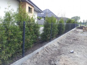 Siatka Panelowa - Ferox-Plastics   Ogrodzenia , Poliwęglan  Dostawa Cały Kraj Toruń