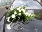 Pniewy Samochody - Lobelia - Kwiaciarnia