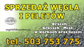 WĘGIEL I PELETY - LIDER &PARTNERS Sp. z o.o. Łęczna