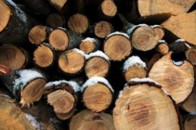 Sprzedaż drewna Brudzice, Kleszczów, Radomsko - P.P.U.T ,,Rom-Pal,, Brudzice
