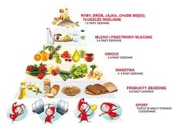 Żywienie przy różnych schorzeniach (miażdżyca, nadciśnienie, oty - Gabinet Dietetyczny Dietlux Kraśnik
