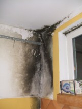 Odgrzybianie - likwidowanie grzyba ze ścian - FHU KRISOFF Mrągowo