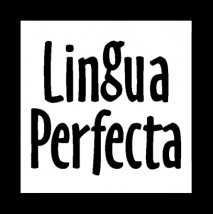 Kurs j.angielskiego dla licealistów - LINGUA PERFECTA Warszawa