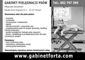 fryzjer dla zwierząt - Gabinet Pielęgnacji Psów Małgorzata Zakrzewska Poznań