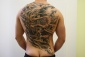 tatuaż kolczykowanie cower-up - ART TATTOO Bytom