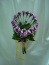 AMARYLIS-Salon kwiatowy Sanok - florystyka
