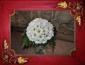 Organizacja wesel Bukiety ślubne, kompozycje kwiatowe, wiązanki okolicznościowe - Strzyżów Fabryka Ślubu