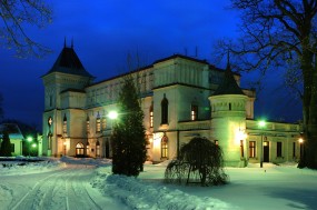 Muzeum - Zamek Przecław Przecław