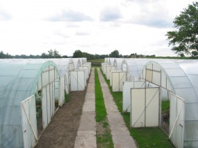 Tunel do produkcji towarowej -  BUTIMEX-Bis  s.c.  Damian, Łukasz i Janusz Janik Rybnik