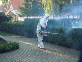 zwalczanie komarów łomianki - Usługi Ogrodnicze Łomianki