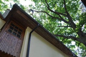 Usuwanie gałęzi znad dachu - Usługi Wysokosciowe i Ogrodnicze Konstancin-Jeziorna
