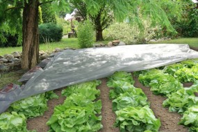 Agrowłóknina Pegas Agro Wiosenna -  BUTIMEX-Bis  s.c.  Damian, Łukasz i Janusz Janik Rybnik