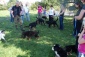 tresura psów WAKACJE Z PSEM KARPACZ 2012 - Legnica CHAMPION Ośrodek Szkolenia Psów