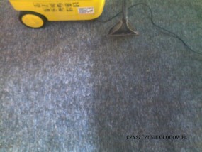 czyszczenie dywanów i tapicerki - PCD podciśnieniowe czyszczenie dywanów i tapicerki Nielubia