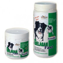 odżywka dla psa Żywiec - Sklep Zoologiczno-Wędkarski   NIMFA  Dariusz Jakszik Żywiec