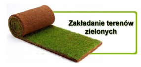 Zakładanie terenów zielonych - VIRIDIS Bartosz Karpiński Słupsk