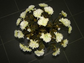 bukiet chryzantema x 24 - P.H.U. Azalia Starachowice