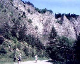 góry beskidy Muszyna Krynica Nowy Sącz - Usługi Turystyczne i Przewodnictwo Muszyna