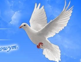 Uzdrawianie duchowe Warszawa Wrocław Gdańsk Katowice - VICAD Iwona Sułowska Kraków