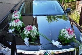 Dekoracje samochodów - A&H Grobelak  RUNO-FANTAZJA  Częstochowa