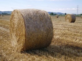 słoma w balach baloty - AGRO-AQUA Jakub Kurkowski Złotów