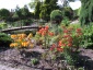 Pielęgnacja ogrodu Goleniów - Vitis projektowanie ogrodów i terenów zieleni