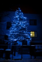 Iluminacje świetlne, dekoracja świąteczna ogrodu - Ogrodowe Pasje Mariusz Machnicki - projektowanie, zakładanie i pielęgnacja terenów zieleni Łódź