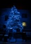 Iluminacje świetlne, dekoracja świąteczna ogrodu - Ogrodowe Pasje Mariusz Machnicki - projektowanie, zakładanie i pielęgnacja terenów zieleni Łódź