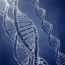 Bielsk Podlaski Testy genetyczne - GenoDietCompleto - zdrowie zgodne z kodem DNA - Poradnia Dietetyczna - Ku zdrowej diecie! mgr inż. Julita Dudicz