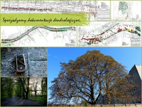 Inwentaryzacje zieleni - Lente Pracownia Kształtowania Zieleni Kamila Walenciak Olsztyn