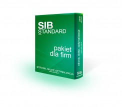 Pakiet usług internetowych - Standard Plus - Sibnet - Damian Kłaptocz - Kreacja wizerunku internetowego firm i organizacji Czechowice-Dziedzice