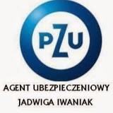 Samochód - ubezpieczenia komunikacyjne - Agencja Ubezpieczeniowa JAGODA Ubezpieczenia PZU - Jadwiga Iwaniak Lublin