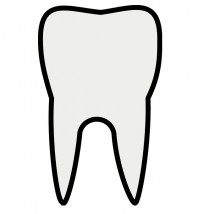 Szyny wybielające zęby - Usługi Protetyczne Ewa Muła Łomża