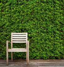 zieleń we wnętrzach- ściany zielone - MOSS DECOR Kraków