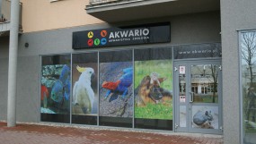 Sklepy zoologiczne - AKWARIO s.c. Opole