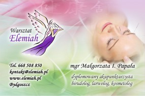 Hirudoterapia ( + kamertony - Warsztat Elemiah Ciało Umysł Dusza. Hirudoterapia. Akupunktura. Masaż Bydgoszcz