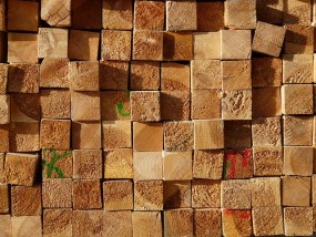 Sprzedaż drewna - WoodCutting Żagań