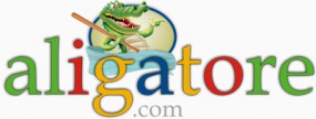analiza rynku - aligatore.com Kalisz