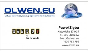 Strony www, sklepy internetowe, szablony Allegro, CMS - Olwen.eu Chorzów